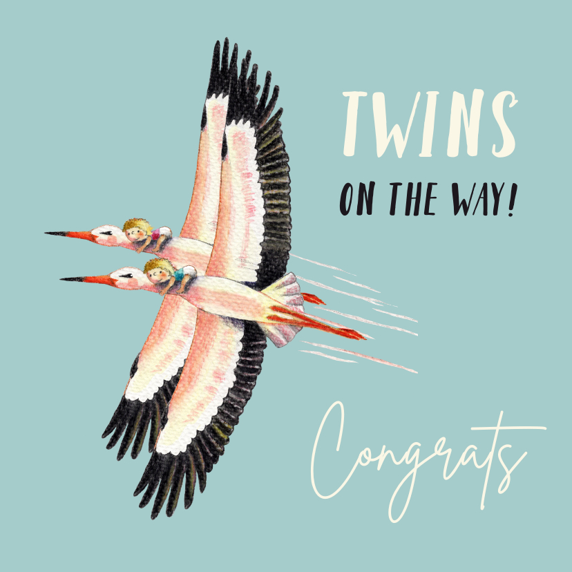 Felicitatiekaarten - Felicitatiekaart zwanger met tweeling ooievaar