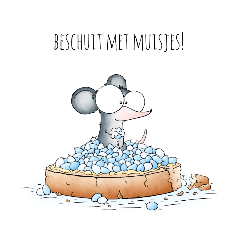 Felicitatiekaarten - Felicitatiekaartje beschuit met muisjes jongen