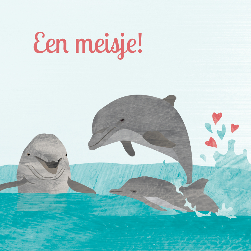 Felicitatiekaarten - Felicitatiekaartje dolfijn