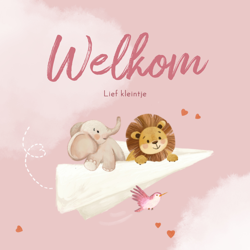 Felicitatiekaarten - Felicitatiekaartje meisje met dieren en papieren vliegtuigje