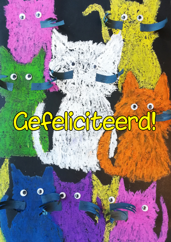 Felicitatiekaarten - Felicitatiekaartje met katten