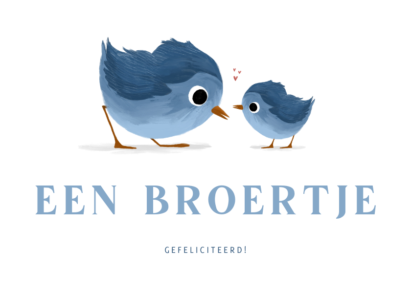 Felicitatiekaarten - Felicitatiekaartje voor een broertje met lieve vogeltjes