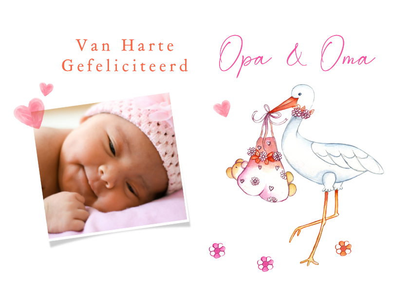 Felicitatiekaarten - Felicitatiekaartkleinkind ooievaar