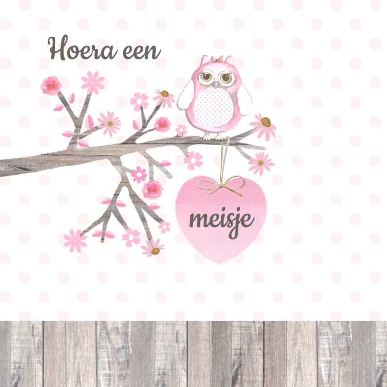 Felicititatie geboorte uiltje - Felicitatiekaarten Felicitatiekaarten - Felicititatie geboorte uiltje