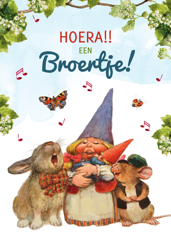 Felicititatiekaart 'Hoera een broertje' kabouter en dieren - Felicitatiekaarten Felicitatiekaarten - Felicititatiekaart 'Hoera een broertje' kabouter en dieren