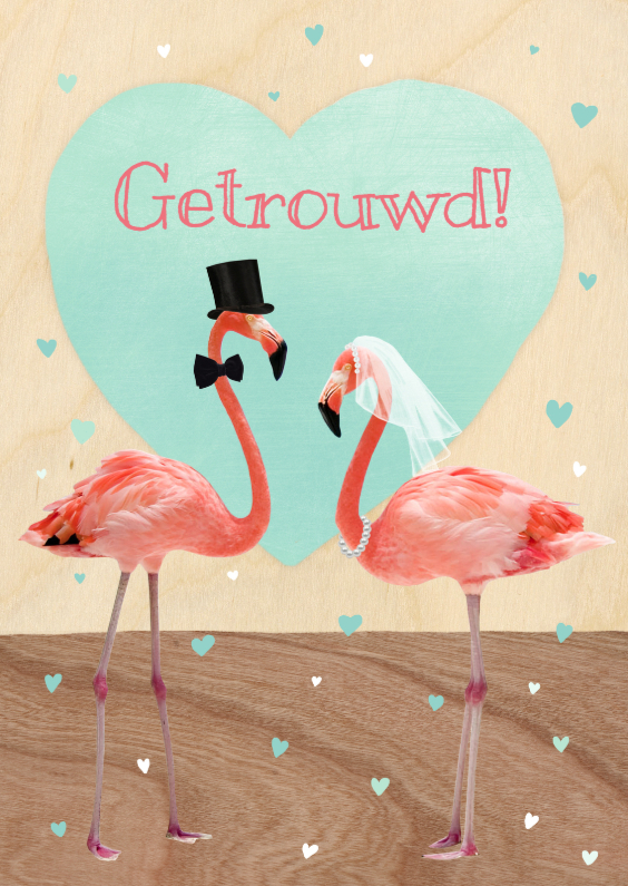 flamingo koppel - Felicitatiekaarten Felicitatiekaarten - flamingo koppel