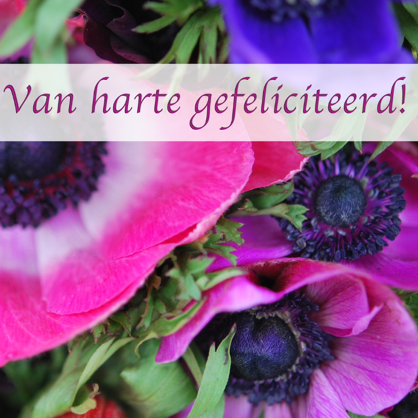 Fotokaart bijzondere bloemen Kaartje2go