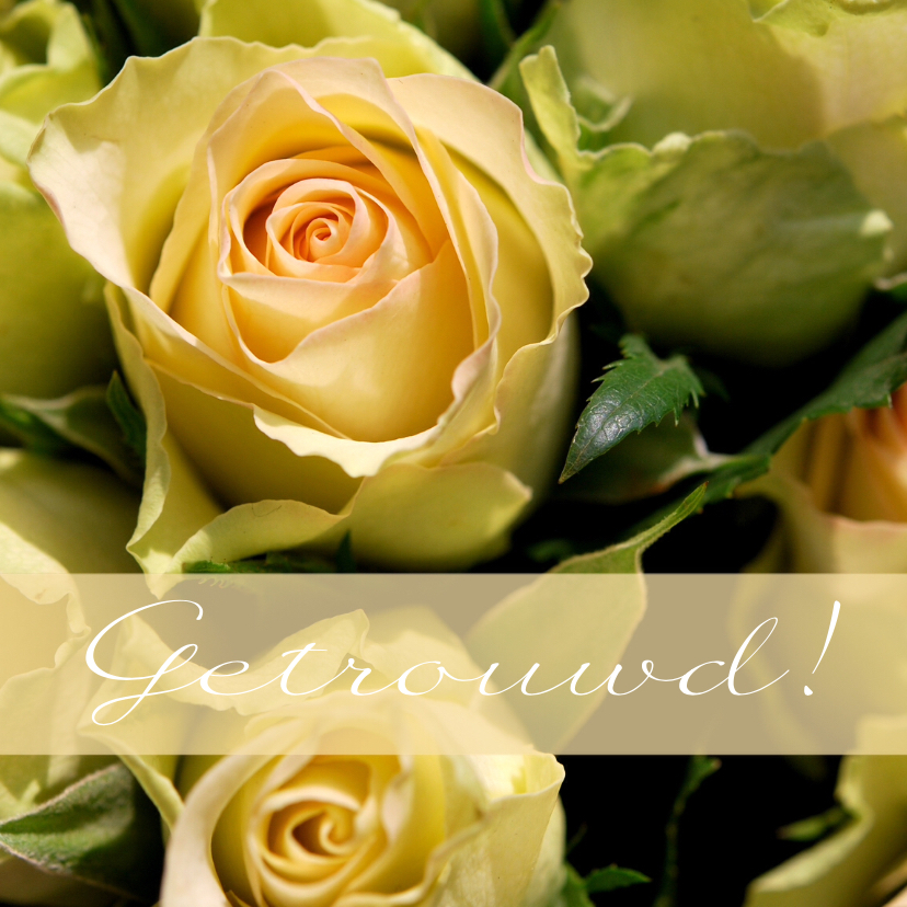 Fotokaart rozen getrouwd - Felicitatiekaarten Felicitatiekaarten - Fotokaart rozen getrouwd
