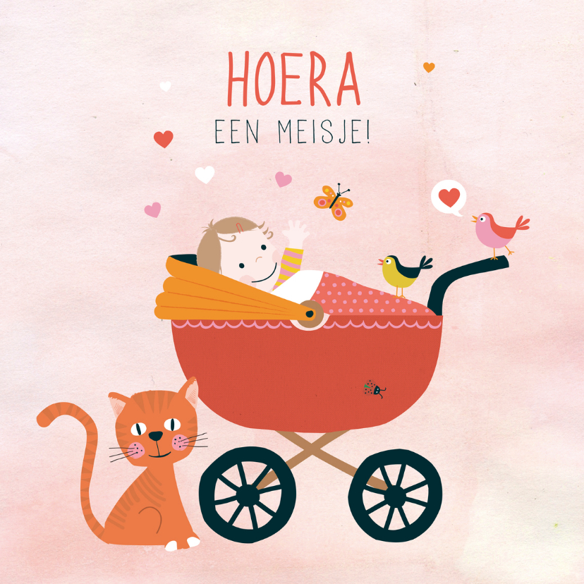 Geboorte felicitatie wieg meisje - Felicitatiekaarten Felicitatiekaarten - Geboorte felicitatie wieg meisje