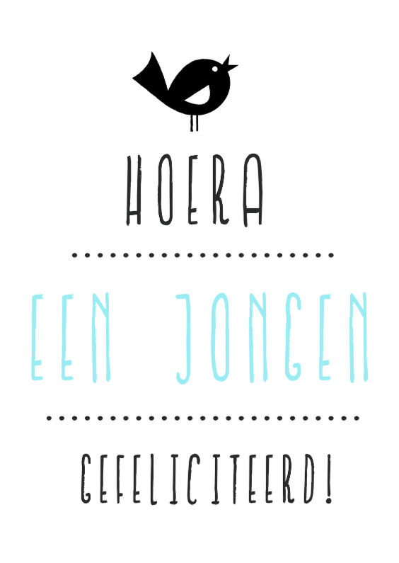 Geboorte Jongen Vogel Hip - Felicitatiekaarten Felicitatiekaarten - Geboorte Jongen Vogel Hip