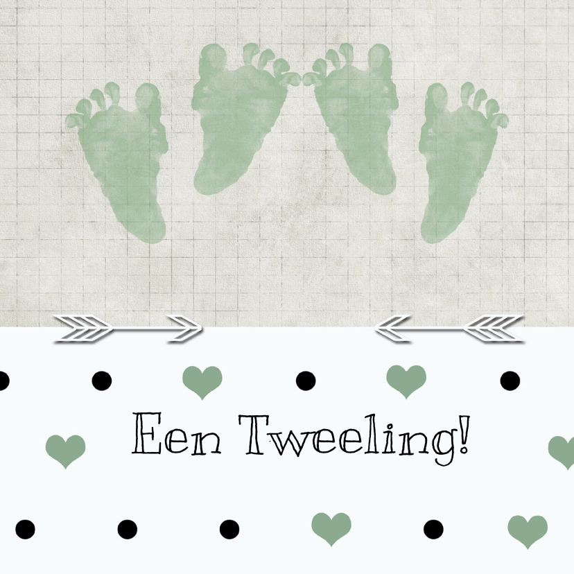 Geboorte tweeling stip - Felicitatiekaarten Felicitatiekaarten - Geboorte tweeling stip