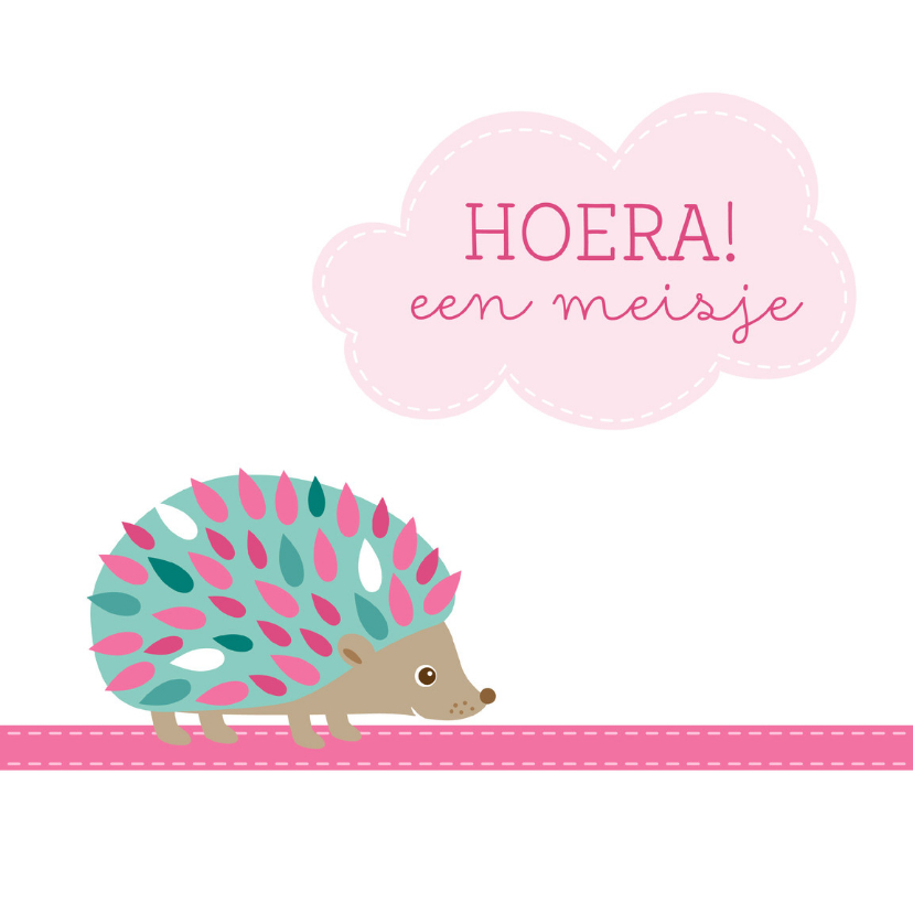 Geboortefelicitatie Egeltje - HB - Felicitatiekaarten Felicitatiekaarten - Geboortefelicitatie Egeltje - HB