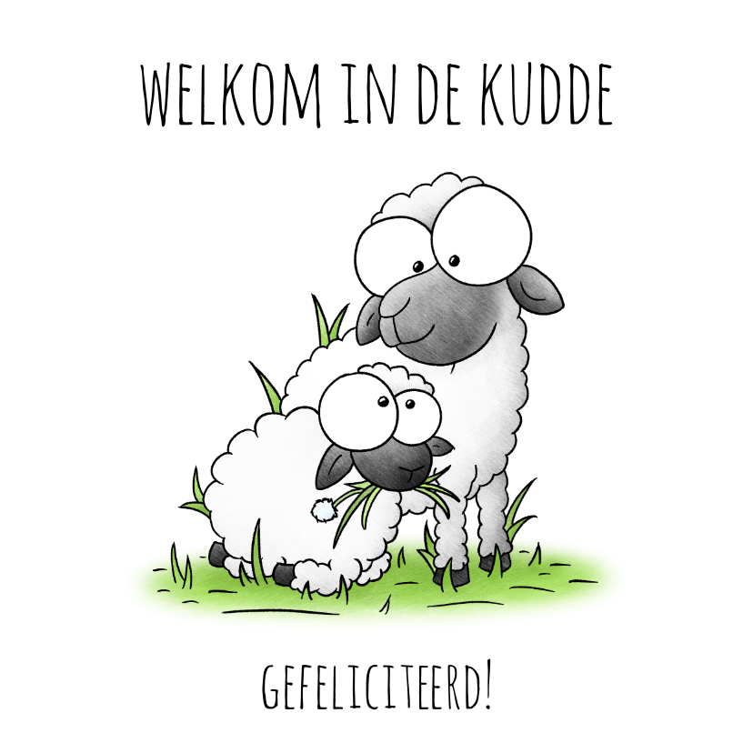 Felicitatiekaarten - Geboortefelicitatie lammetje - Welkom in de kudde!