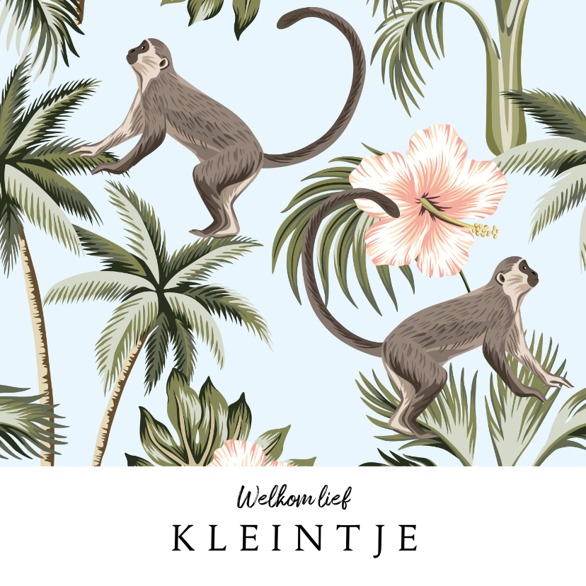 Geboortekaartje - Welkom kleintje - Felicitatiekaarten Felicitatiekaarten - Geboortekaartje - Welkom kleintje