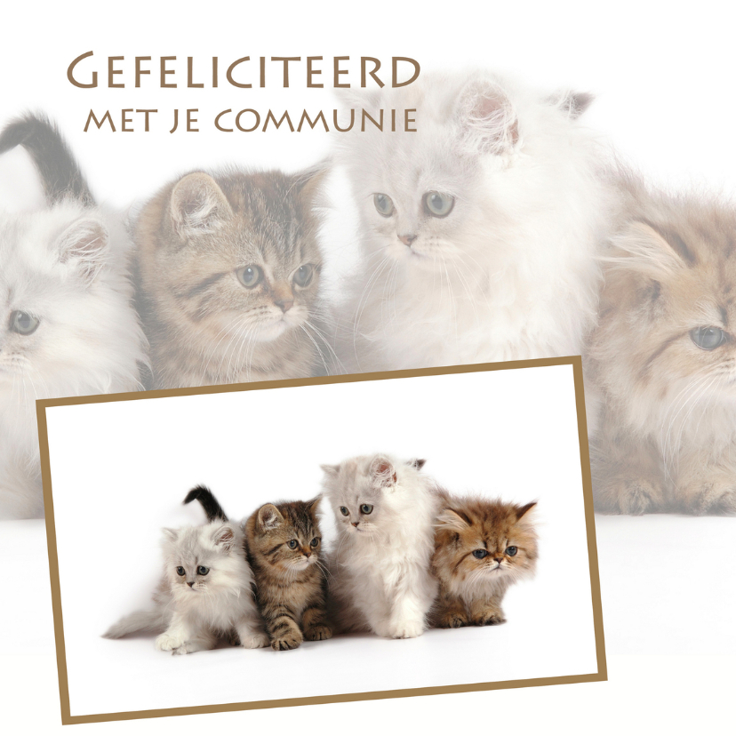 Gefeliciteerd met je communie 4 - Felicitatiekaarten Felicitatiekaarten - Gefeliciteerd met je communie 4