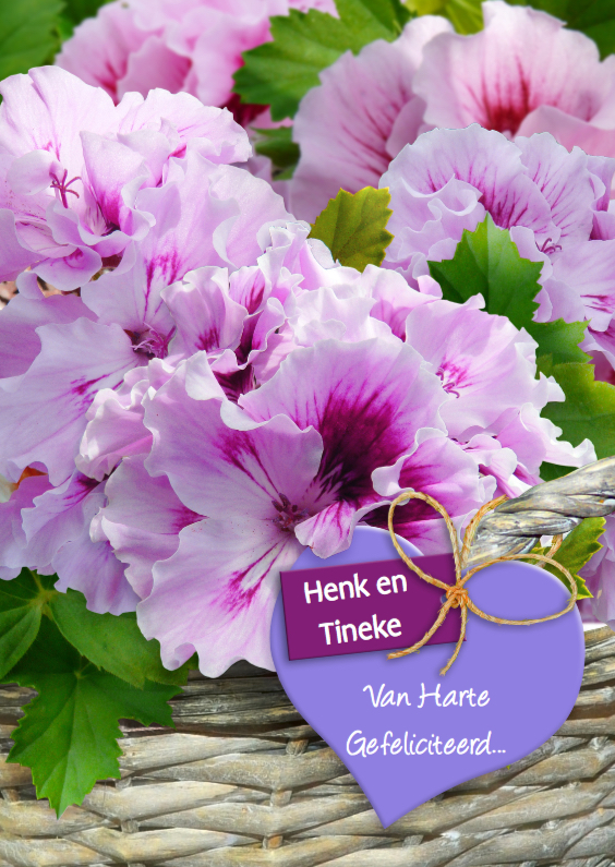 Geraniums in mand met hart Felicitatie - Felicitatiekaarten Felicitatiekaarten - Geraniums in mand met hart Felicitatie