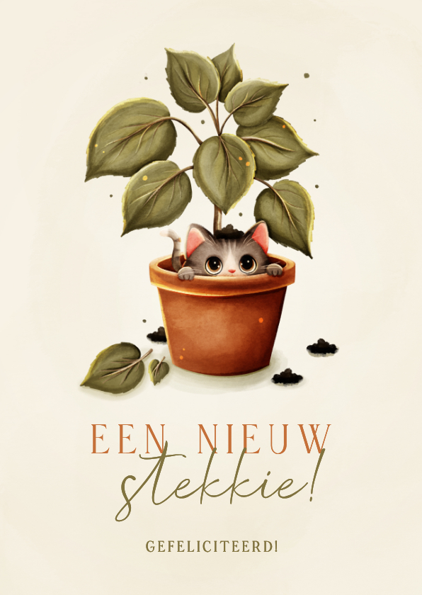 Felicitatiekaarten - Grappig felicitatiekaartje nieuw stekkie kat in plant 