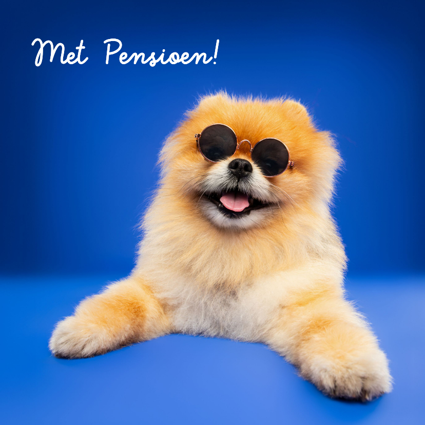 Felicitatiekaarten - Grappige felicitatiekaart pensioen hondje en zonnebril