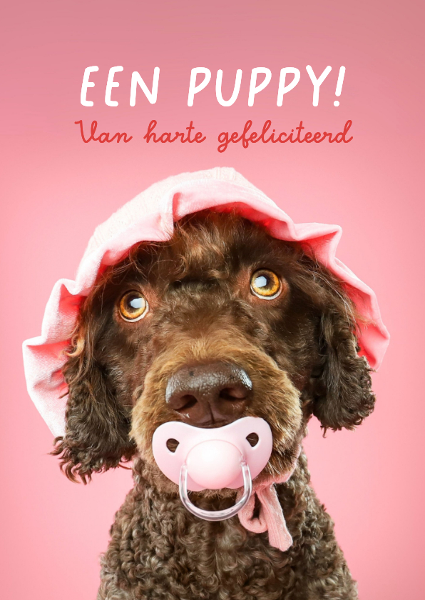 Grappige kaart voor het welkom heten van een puppy teefje - Felicitatiekaarten Felicitatiekaarten - Grappige kaart voor het welkom heten van een puppy teefje