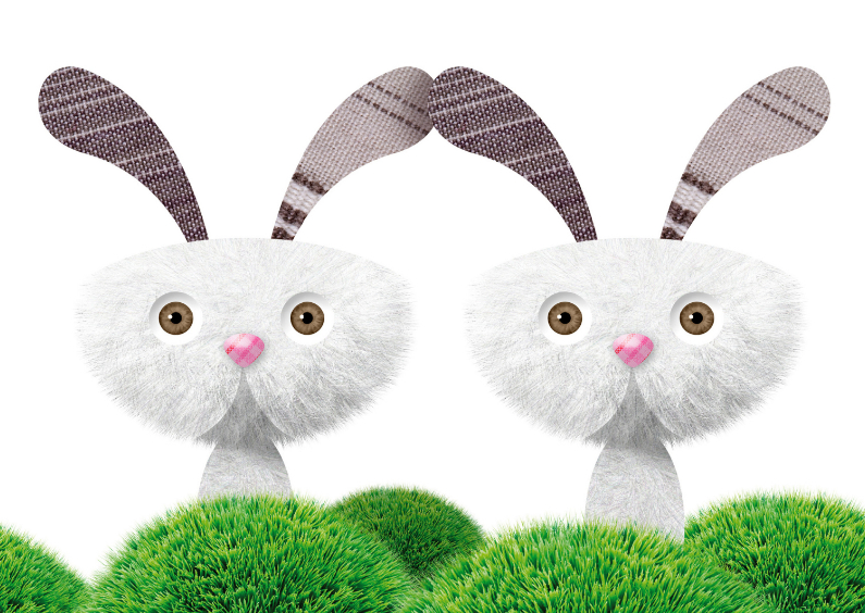 Felicitatiekaarten - Grappige tweeling kaart met konijntjes