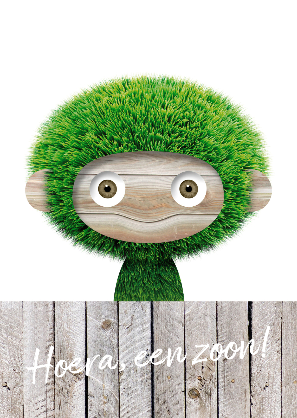 Gras aapje achter schutting - Felicitatiekaarten Felicitatiekaarten - Gras aapje achter schutting