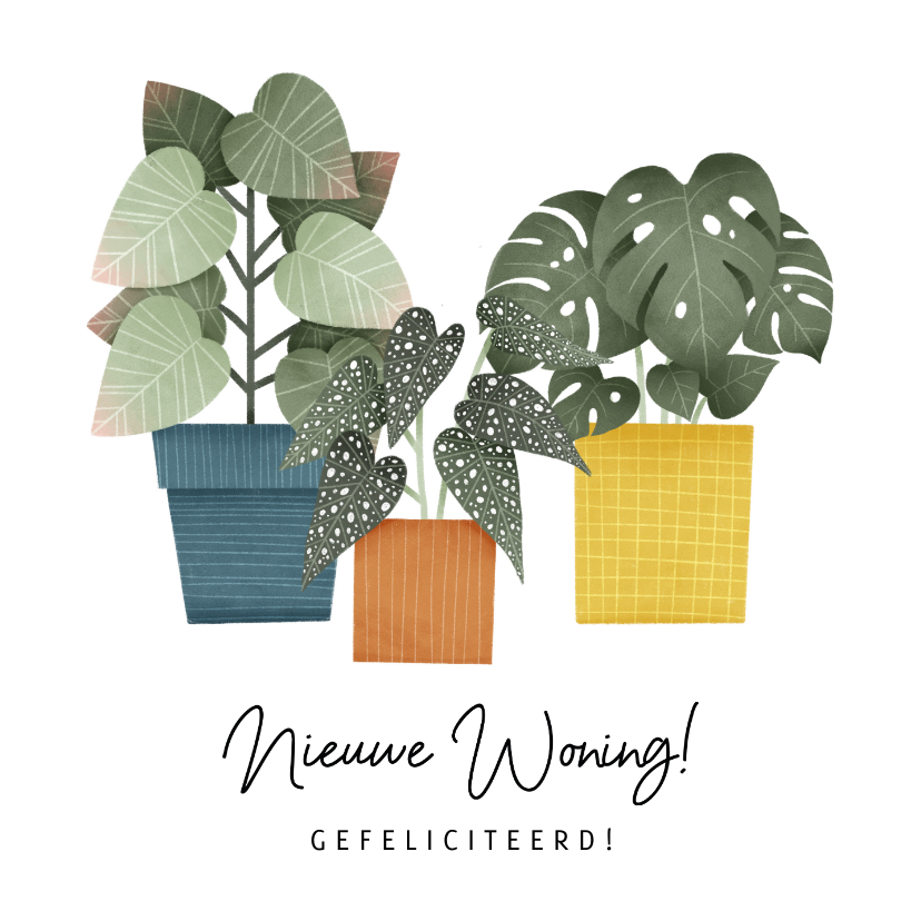 Felicitatiekaarten - Hippe felicitatiekaart nieuwe woning planten en typografie