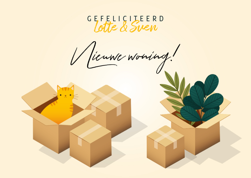 Felicitatiekaarten - Hippe felicitatiekaart 'Nieuwe Woning' verhuisdozen en kat