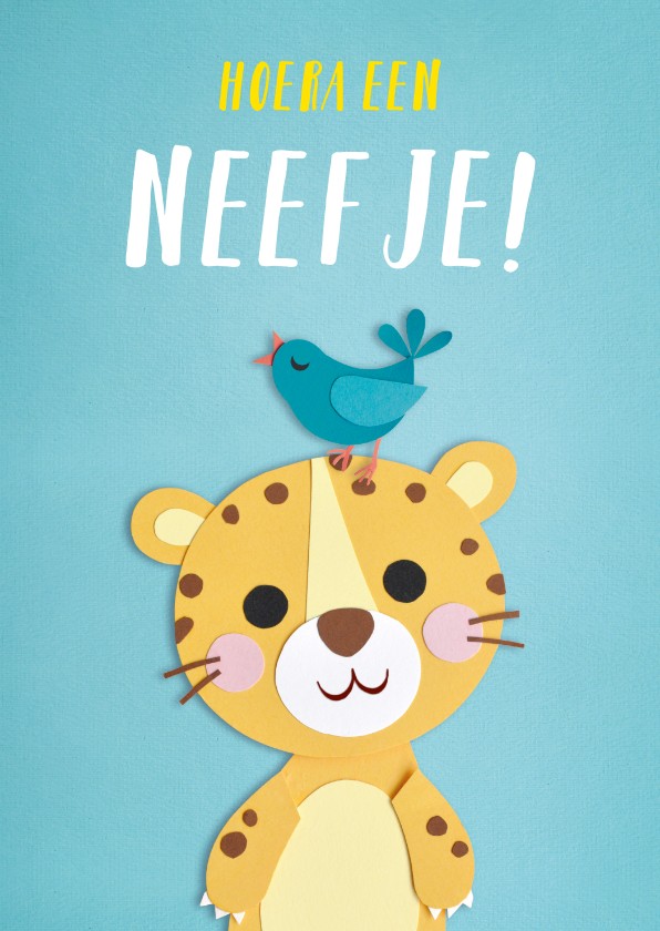 Felicitatiekaarten - Hoera een neefje! baby panter