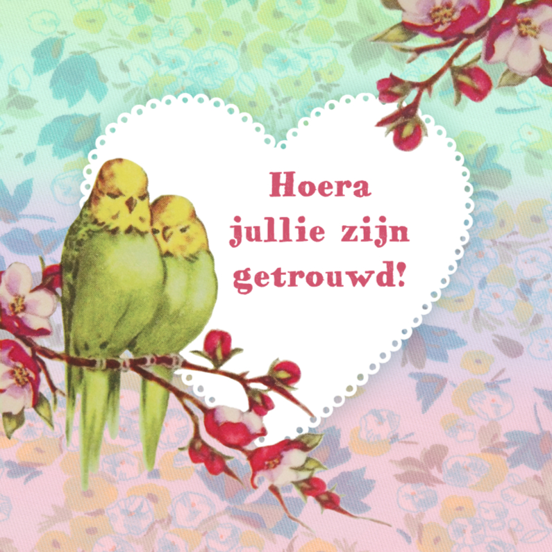 huwelijks felicitatie parkieten - Felicitatiekaarten Felicitatiekaarten - huwelijks felicitatie parkieten