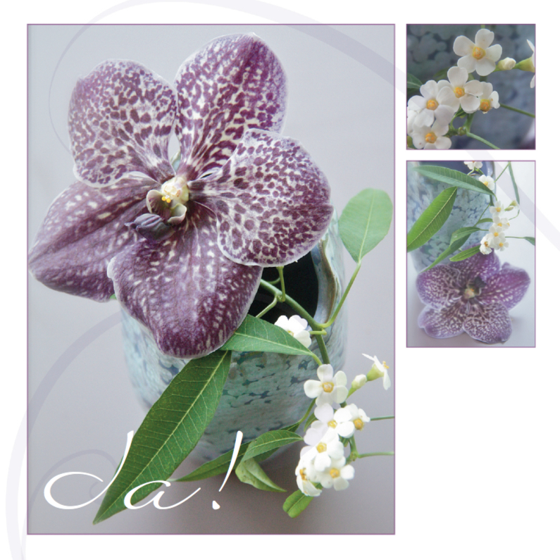 Jubileumkaart orchidee paars - Felicitatiekaarten Felicitatiekaarten - Jubileumkaart orchidee paars