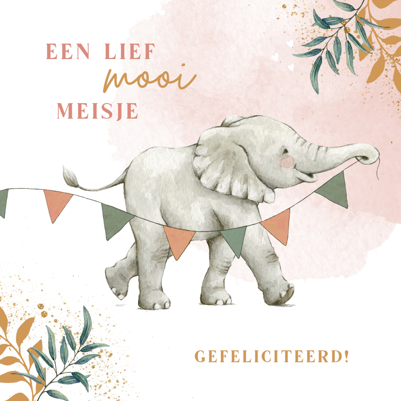 Felicitatiekaarten - Lief felicitatiekaartje geboorte meisje met olifantje 