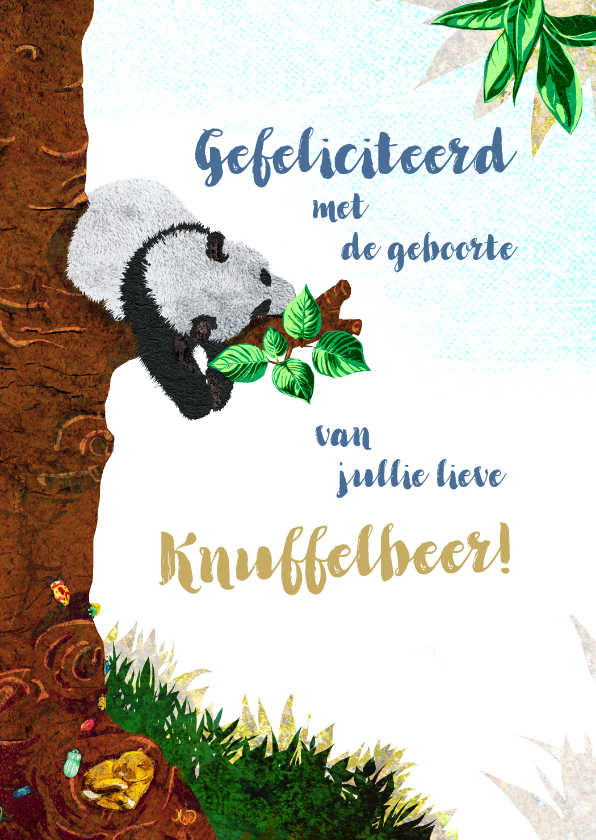 Lief geboorte felicitiatie kaartje voor een jongen met panda - Felicitatiekaarten Felicitatiekaarten - Lief geboorte felicitiatie kaartje voor een jongen met panda
