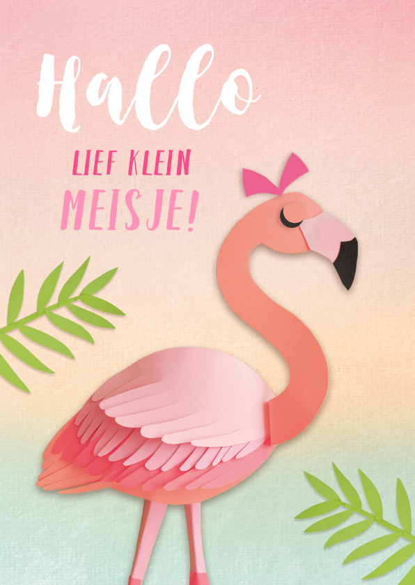 Felicitatiekaarten - Lief klein meisje flamingo