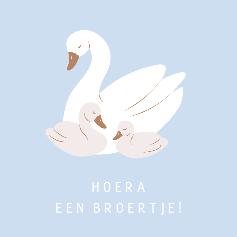 Felicitatiekaarten - Lieve felicitatiekaart met baby zwaantjes voor een broertje