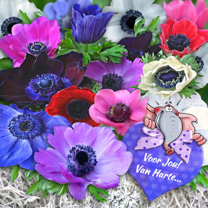 Mooie felicitatiekaart met mooie anemonen en hart - Felicitatiekaarten Felicitatiekaarten - Mooie felicitatiekaart met mooie anemonen en hart