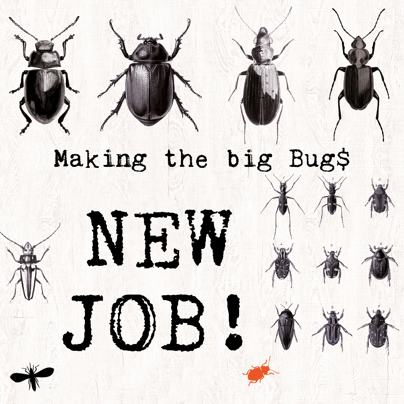 Nieuwe baan - MAKING THE BIG BUGS! - Felicitatiekaarten Felicitatiekaarten - Nieuwe baan - MAKING THE BIG BUGS!