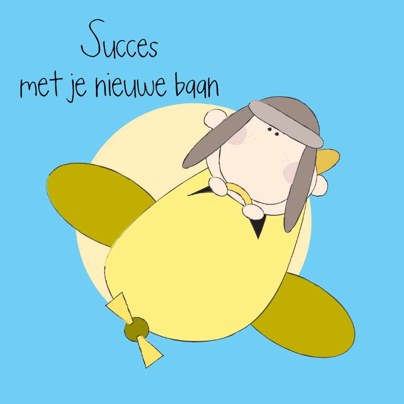 Nieuwe baan piloot - Felicitatiekaarten Felicitatiekaarten - Nieuwe baan piloot
