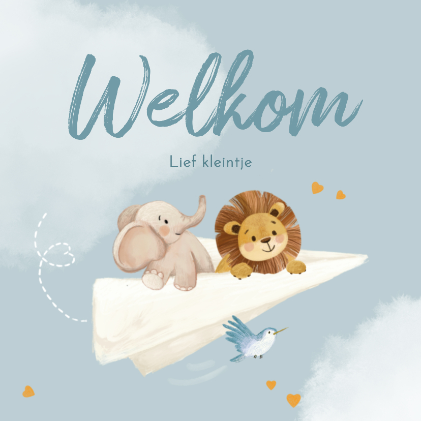 Felicitatiekaarten - Olifant en leeuw op papieren vliegtuigje