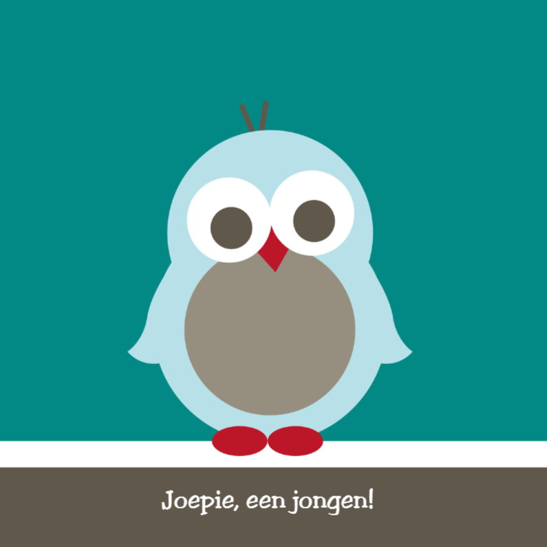 Pinguïn jongen - Felicitatiekaarten Felicitatiekaarten - Pinguïn jongen