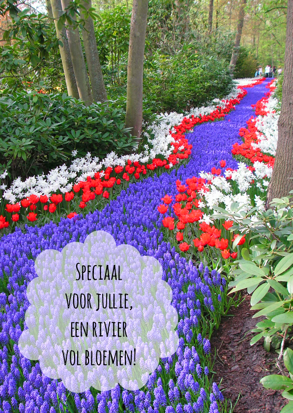 Rivier vol bloemen - Felicitatiekaarten Felicitatiekaarten - Rivier vol bloemen