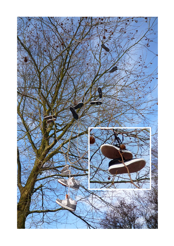 Schoenen in de Wilgen - avondvierdaagse - Felicitatiekaarten Felicitatiekaarten - Schoenen in de Wilgen - avondvierdaagse