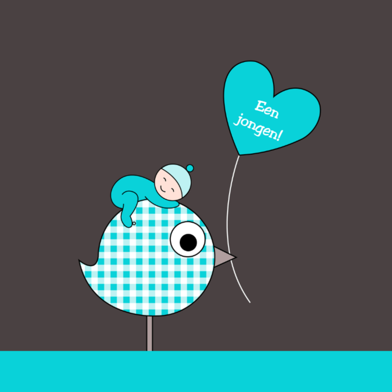 Slapend jongetje op vogeltje - Felicitatiekaarten Felicitatiekaarten - Slapend jongetje op vogeltje
