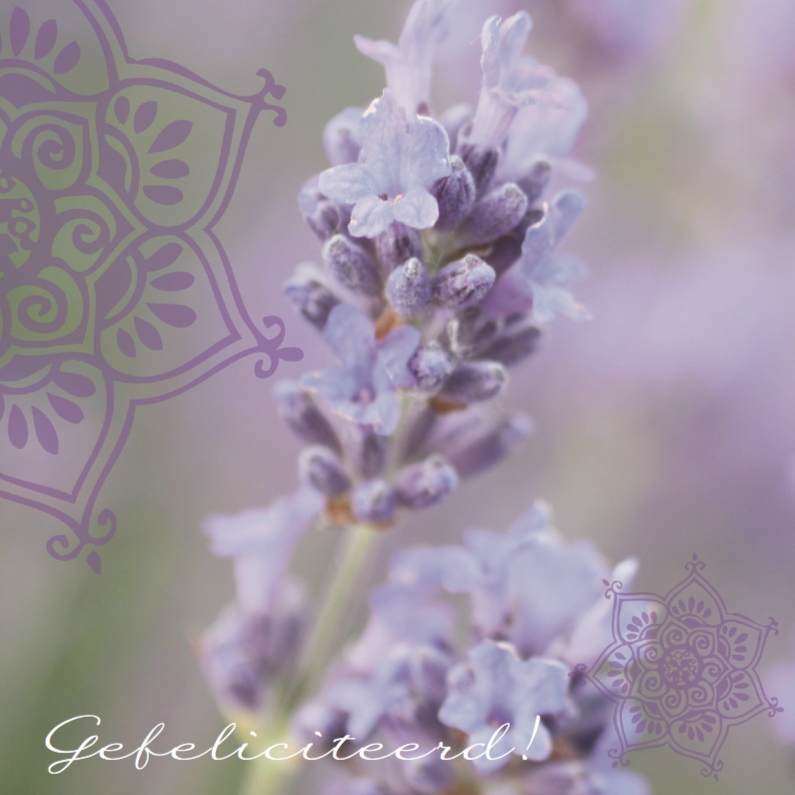 Trouwkaart felicitatie lavendel - Felicitatiekaarten Felicitatiekaarten - Trouwkaart felicitatie lavendel