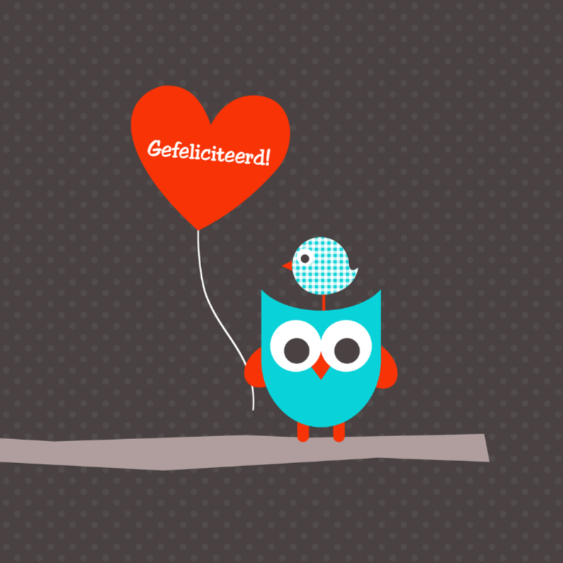 Uiltje met ballon - Felicitatiekaarten Felicitatiekaarten - Uiltje met ballon