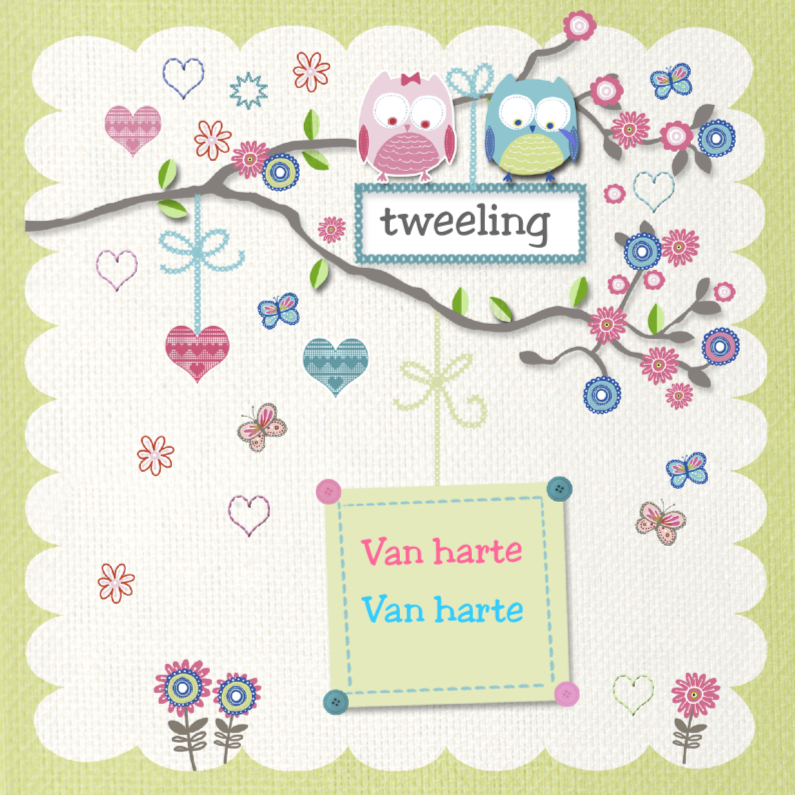 Van harte tweeling meisje jongen - Felicitatiekaarten Felicitatiekaarten - Van harte tweeling meisje jongen