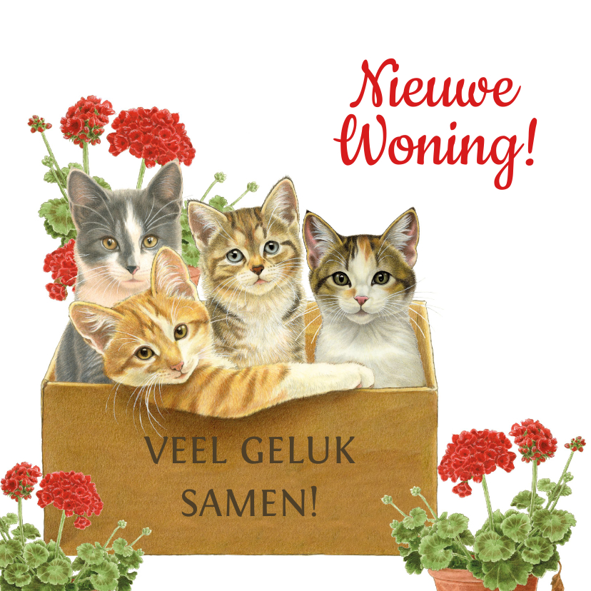 Felicitatiekaarten - Verhuiskaart met katten in verhuisdoos