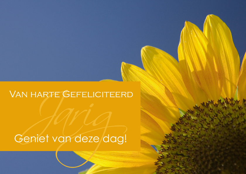 Felicitatiekaarten - Verjaardagskaart met zonnebloem