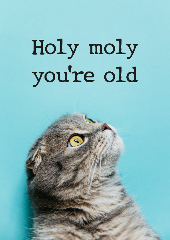 Verjaardagskaartje holy moly you're old met kat - Felicitatiekaarten Felicitatiekaarten - Verjaardagskaartje holy moly you're old met kat