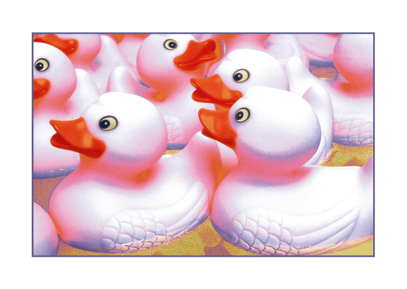 Vrolijke eendjes - Felicitatiekaarten Felicitatiekaarten - Vrolijke eendjes