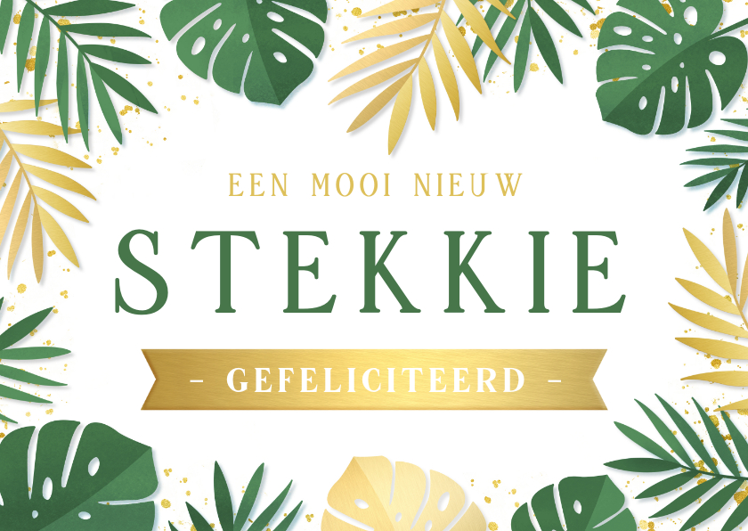 Felicitatiekaarten - Zomerse felicitatiekaart nieuw stekkie met monstera bladeren